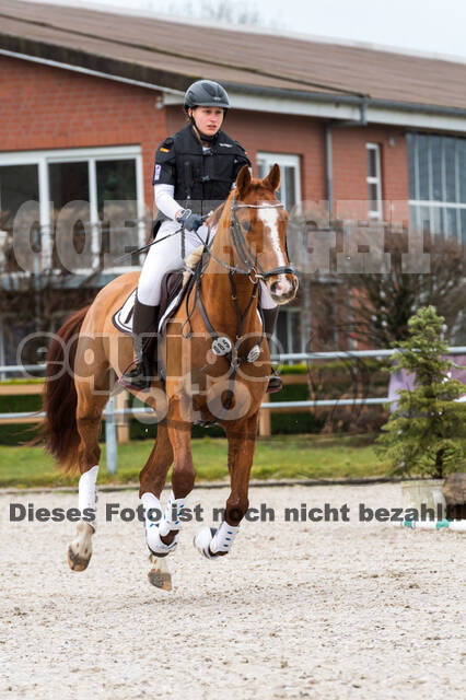 Eventing im Pferdesportzentrum Rheinland (Late Entry 14.03.2022)