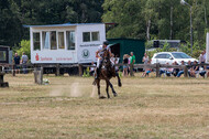 Late-Entry Vielseitigkeit Hamminkeln/Wesel (01.+02.08.2020)