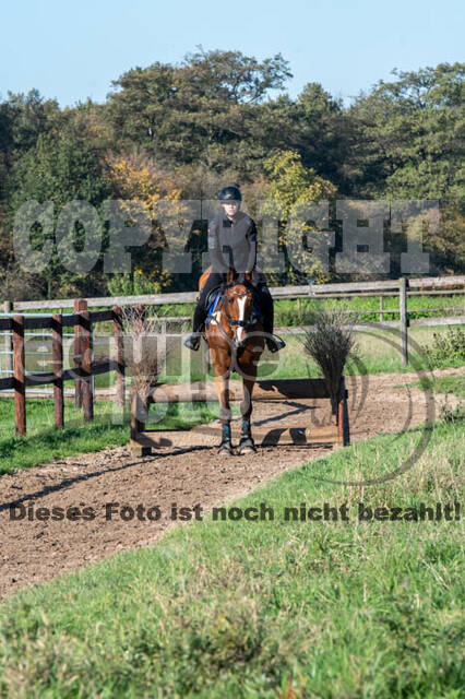 Vielseitigkeitslehrgang mit Jürg Kurbel (9.+10.11.2019)