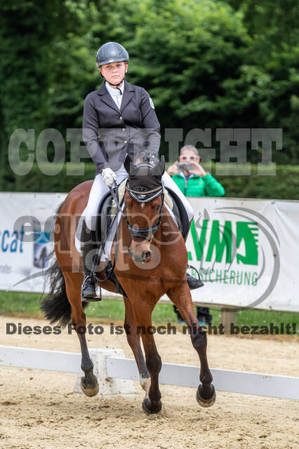 Goldene Schärpe 2021 - Ponys