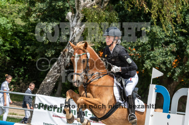 Late-Entry-Vielseitigkeit Langenfeld (06.+07.07.2020)