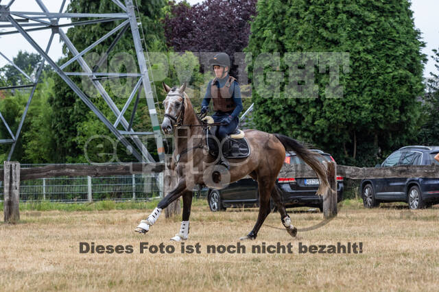 Late-Entry Vielseitigkeit Hamminkeln/Wesel (01.+02.08.2020)