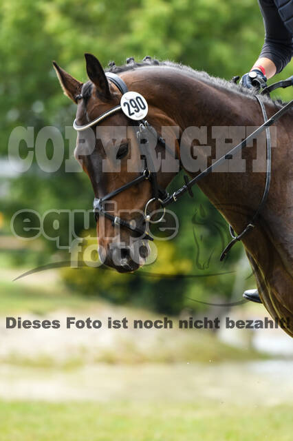 Late-Entry-Vielseitigkeit Langenfeld (11.+13./14.06.2020)