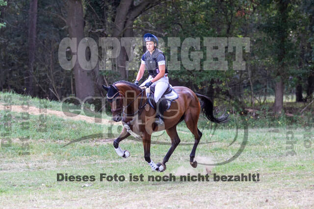 Late-Entry Vielseitigkeit Hamminkeln/Wesel (01.+02.08.2020)