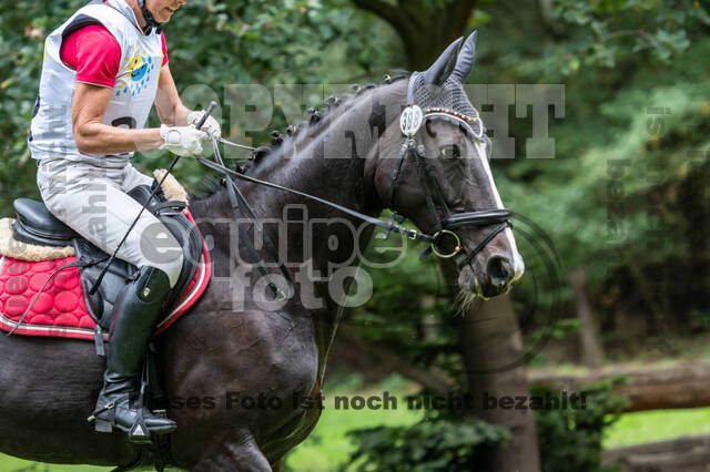 Vielseitigkeit RSV Wesel Obrighoven (26.+27.09.2020)