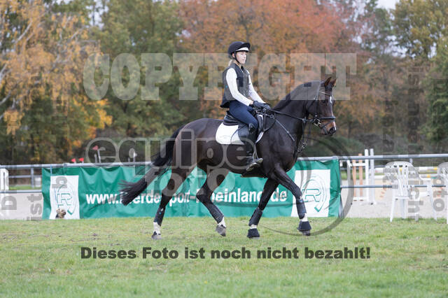 IGV Lehrgang der Sieger der Cups mit Frank Ostholt