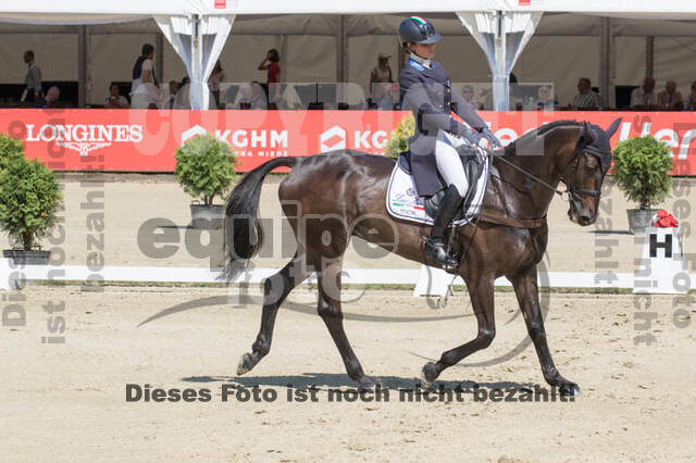 FEI European Championship