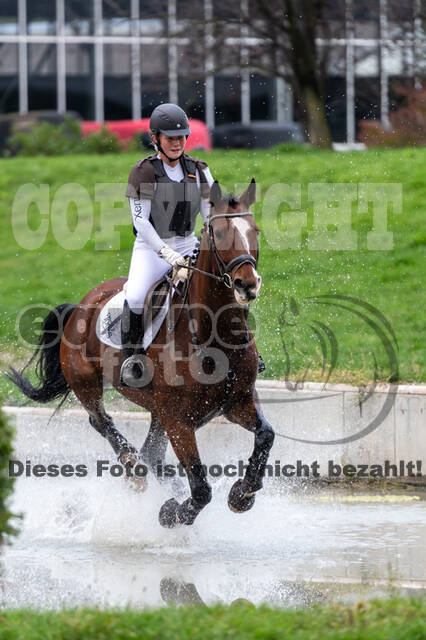 Goldene Schärpe 2020 - Pferde