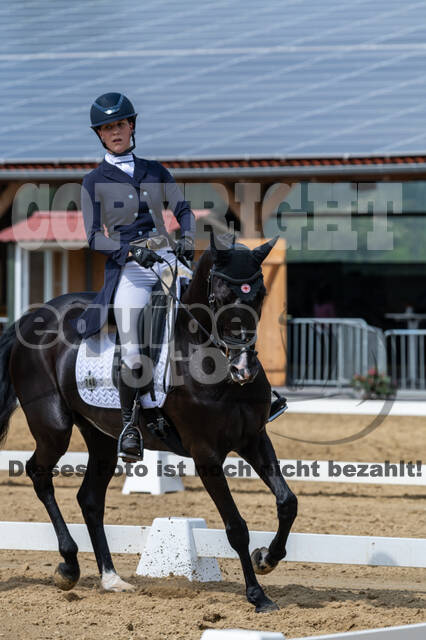 Westerstede Horse Trials 2021