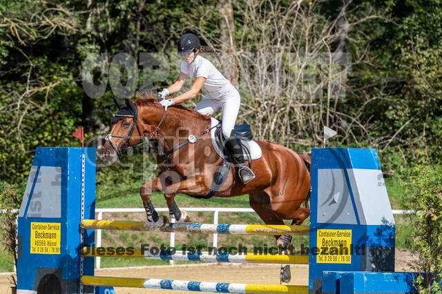 RFV Dinslaken-Hiesfeld (Herbstturnier)