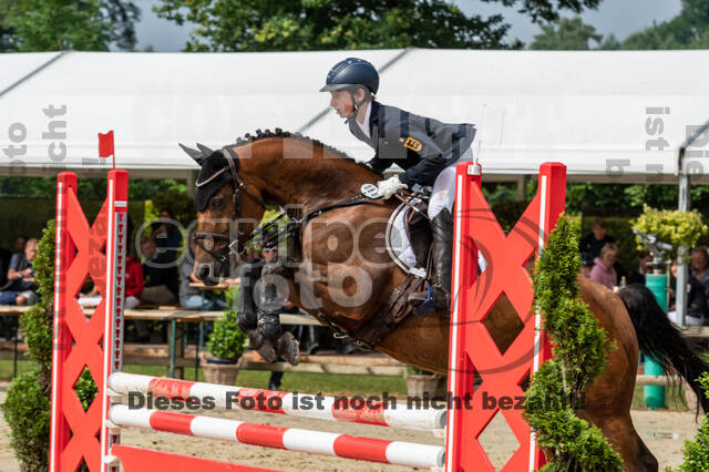 Goldene Schärpe 2021 - Ponys