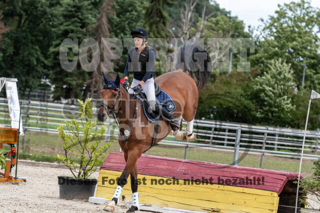 Late-Entry-Vielseitigkeit Langenfeld (06.+07.07.2020)