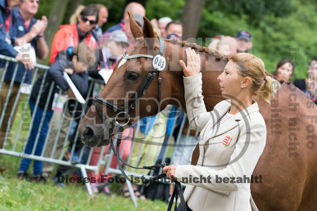 FEI European Championship Eventing 2017