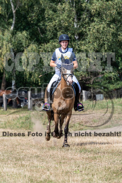 Late-Entry Vielseitigkeit Hamminkeln/Wesel (01.+02.08.2020)