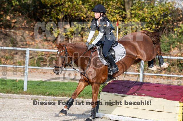 IGV Lehrgang der Sieger der Cups mit Frank Ostholt