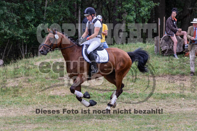 Late-Entry Vielseitigkeit Hamminkeln/Wesel (01.+02.08.2020)