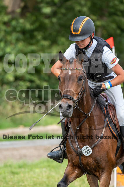 Late-Entry-Vielseitigkeit Langenfeld (06.+07.07.2020)