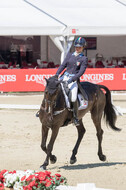 FEI European Championship