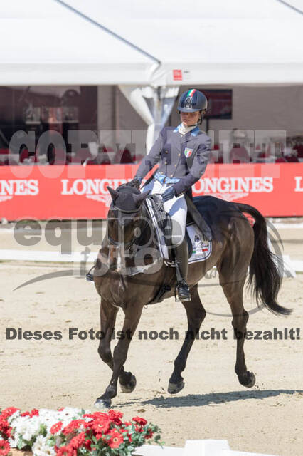 FEI European Championship
