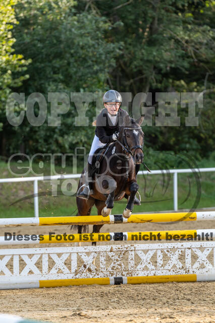 RFV Dinslaken-Hiesfeld (Herbstturnier)