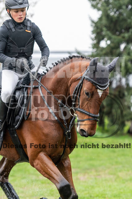 Goldene Schärpe 2020 - Pferde