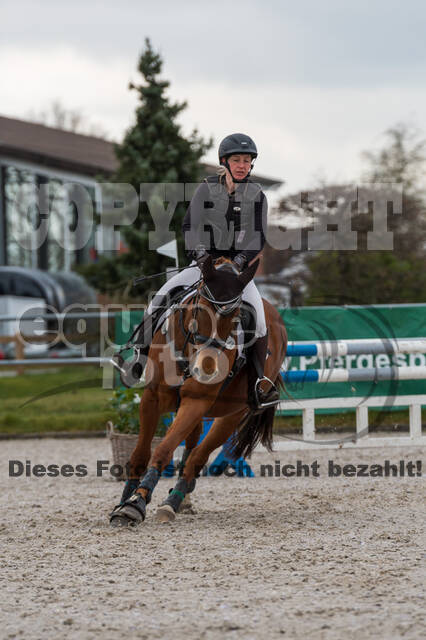 Eventing im Pferdesportzentrum Rheinland (Late Entry 14.03.2022)
