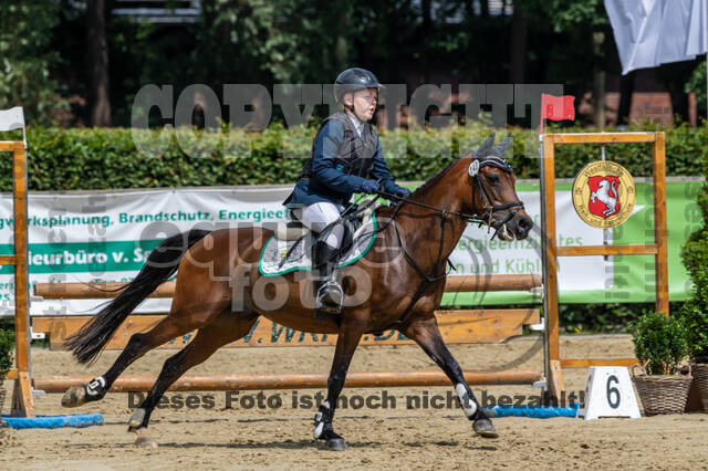 Goldene Schärpe 2021 - Ponys