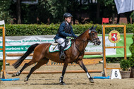 Goldene Schärpe 2021 - Ponys