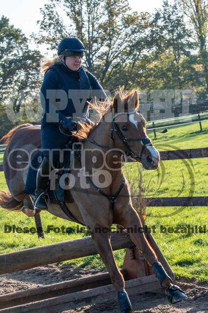 Vielseitigkeitslehrgang mit Jürg Kurbel (9.+10.11.2019)