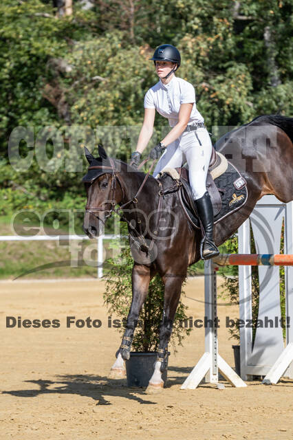 RFV Dinslaken-Hiesfeld (Herbstturnier)