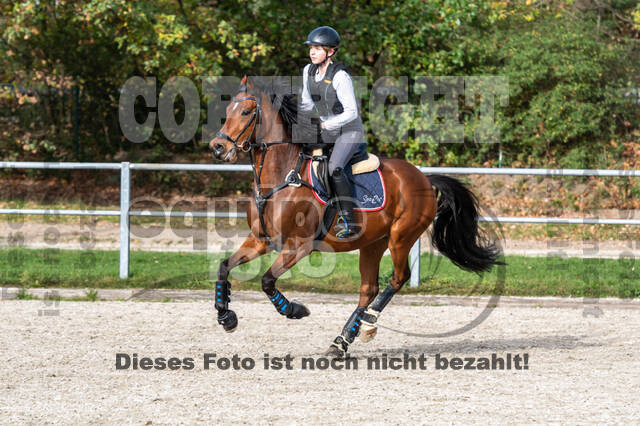 IGV Lehrgang der Sieger der Cups mit Frank Ostholt