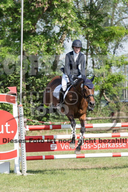 Vielseitigkeitsturnier ZRuFV von Lützow Hamminkeln