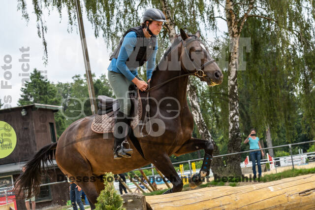 Hunter Geländetraining 10.07.2021 (Sonsbeck)