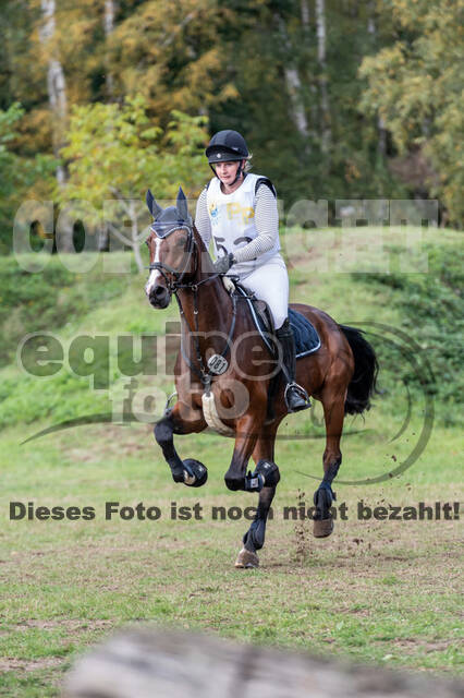 Vielseitigkeit RSV Wesel Obrighoven (26.+27.09.2020)