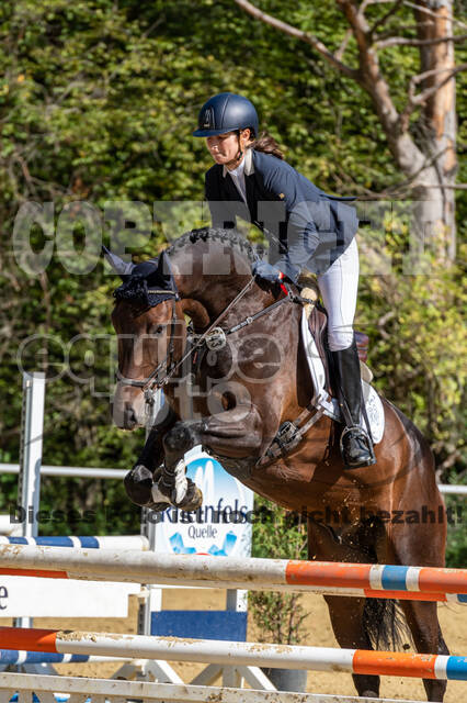 RFV Dinslaken-Hiesfeld (Herbstturnier)