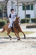 Eventing Langenfeld 2018