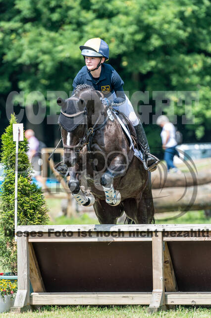 Goldene Schärpe 2021 - Ponys