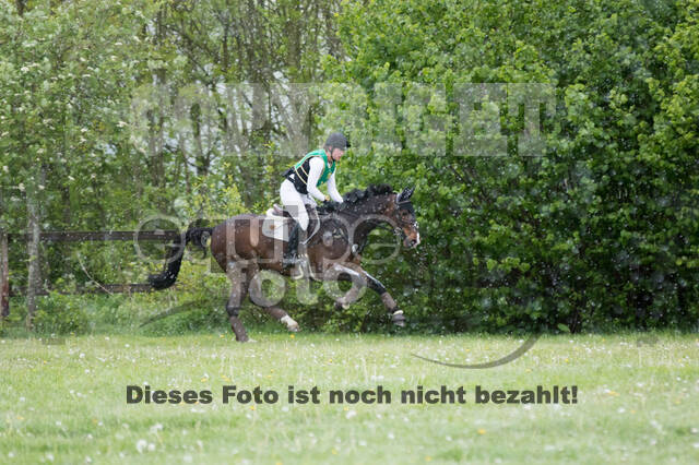 Sterne über Münster 2019 - CCI***S
