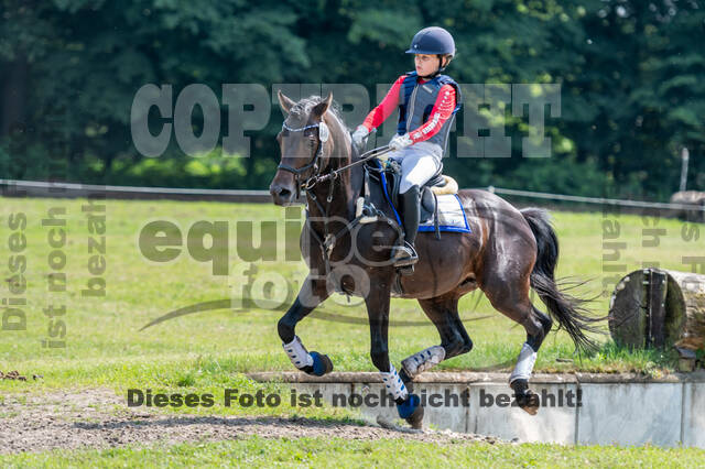 Goldene Schärpe 2021 - Ponys