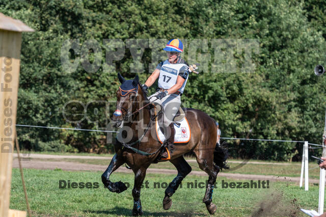 FEI European Championship Eventing 2019