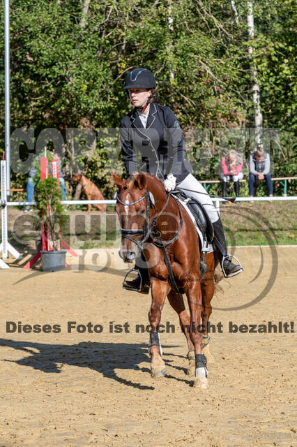 RFV Dinslaken-Hiesfeld (Herbstturnier)