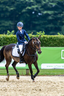 Goldene Schärpe 2021 - Ponys