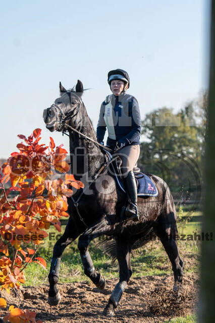 Vielseitigkeitslehrgang mit Jürg Kurbel (9.+10.11.2019)