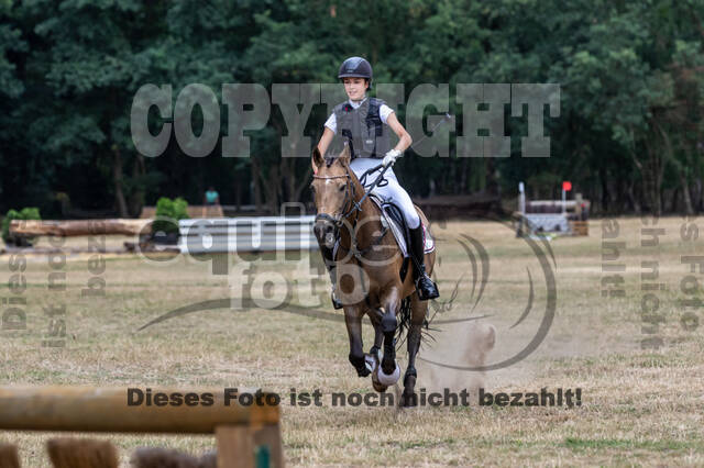 Late-Entry Vielseitigkeit Hamminkeln/Wesel (01.+02.08.2020)