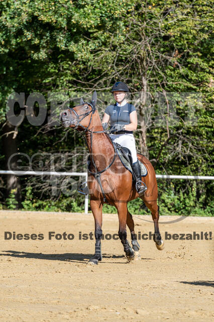 RFV Dinslaken-Hiesfeld (Herbstturnier)