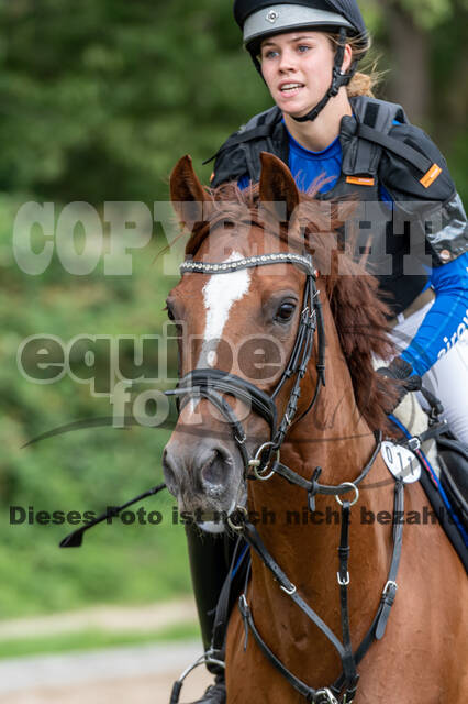 Late-Entry-Vielseitigkeit Langenfeld (06.+07.07.2020)