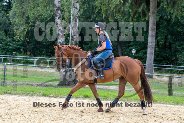 Hunter Geländetraining 10.07.2021 (Sonsbeck)