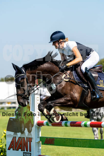 Kronenberg - De Peelbergen (August 2020)