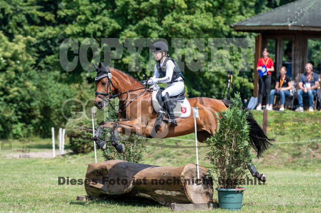 Goldene Schärpe 2021 - Ponys