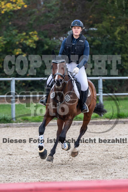 Goldene Schärpe 2020 - Pferde